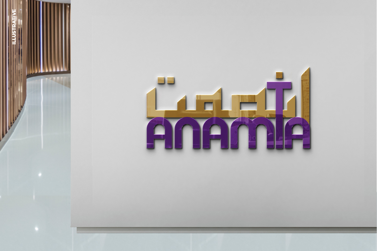 Anamta Internationals LLC FZ